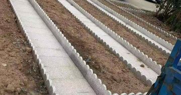 绥化芝麻白花边石