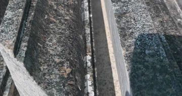 绥化英国棕别墅线条